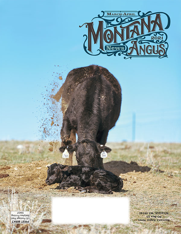 Montana Angus News March-April 2021