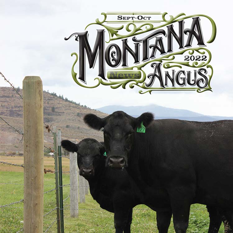 Montana Angus News