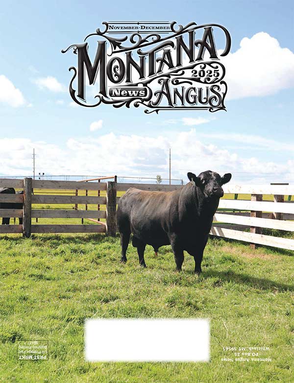 Montana Angus News November-December 2025