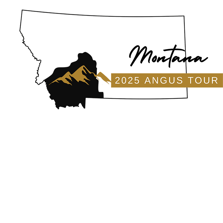 2025 Montana Angus Tour