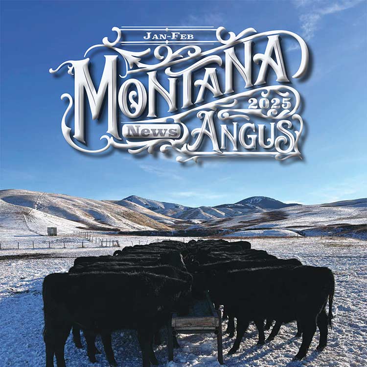 Montana Angus News