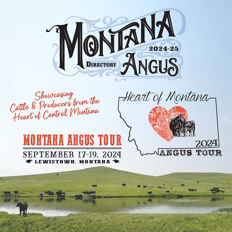 Montana Angus Directory