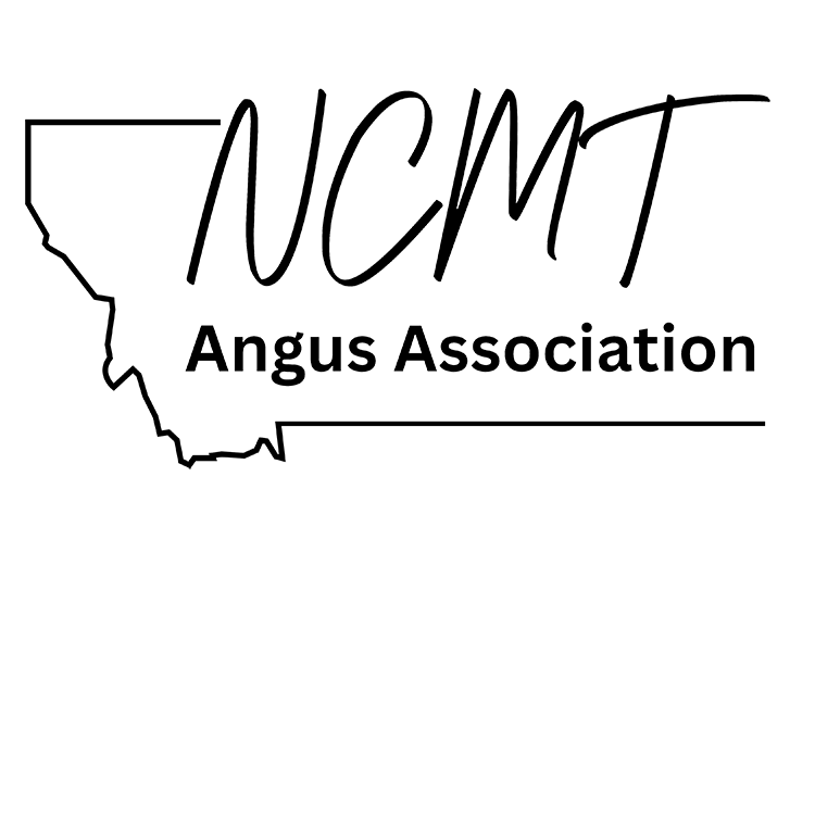 Montana Angus Tour