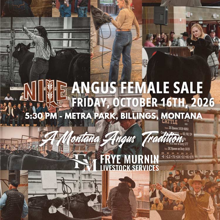 Montana Angus Tour
