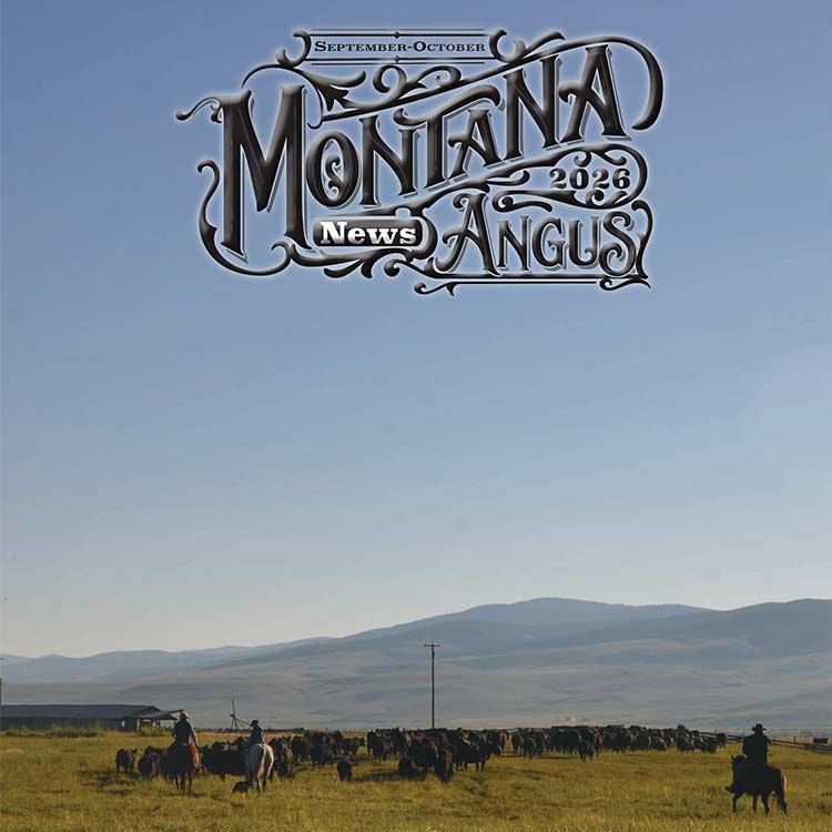 Montana Angus News